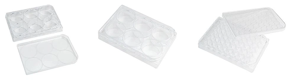 6 Holes Tissue Culture Plates