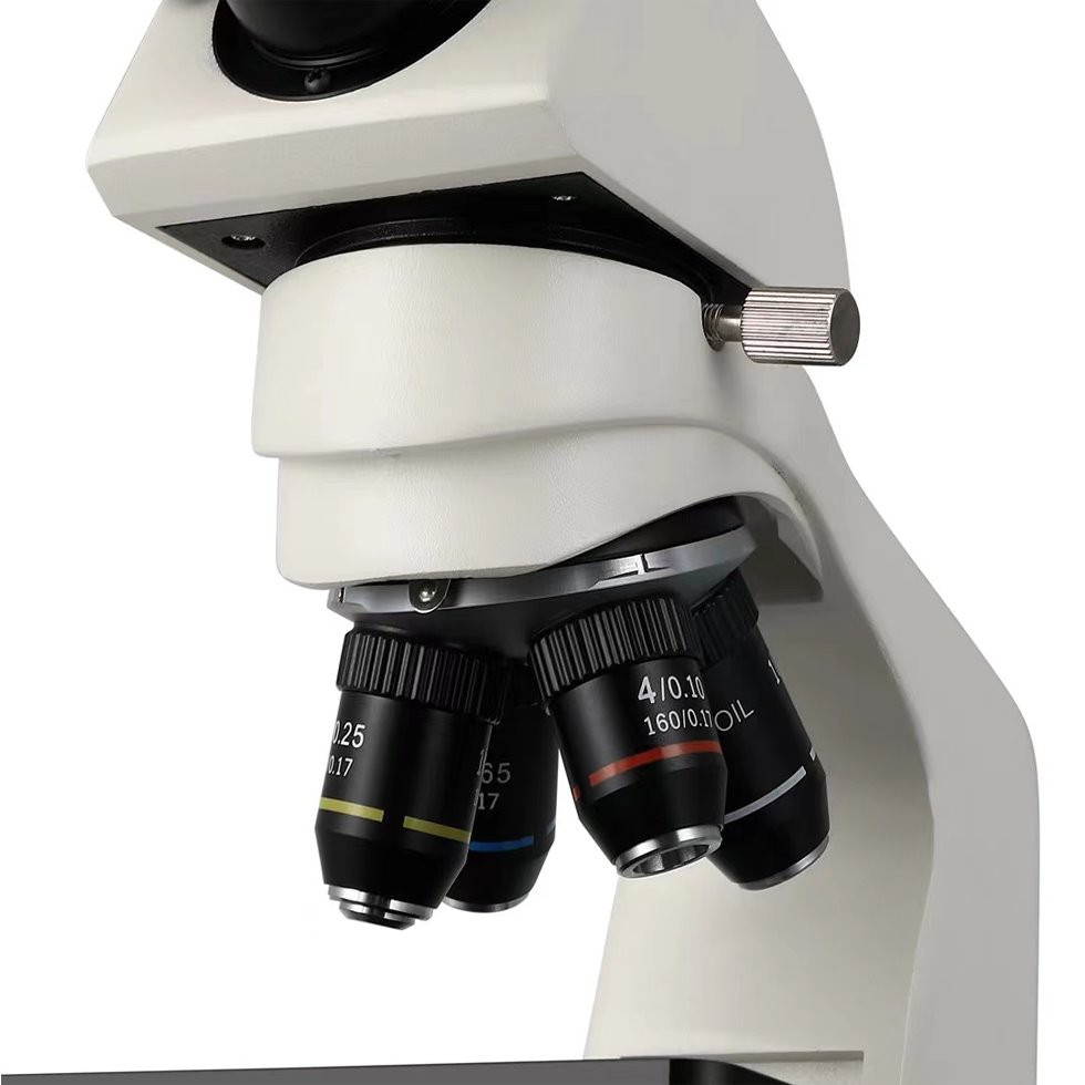Biological Binocular Microscope