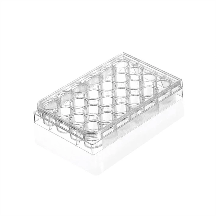 24 Holes Plastic Tissue Culture Plates